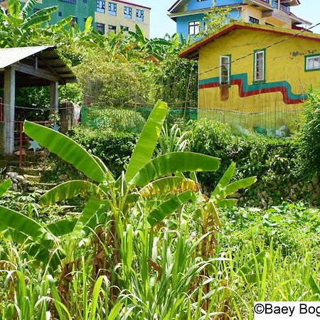 Baey Bogan Homestay サガダ エクステリア 写真