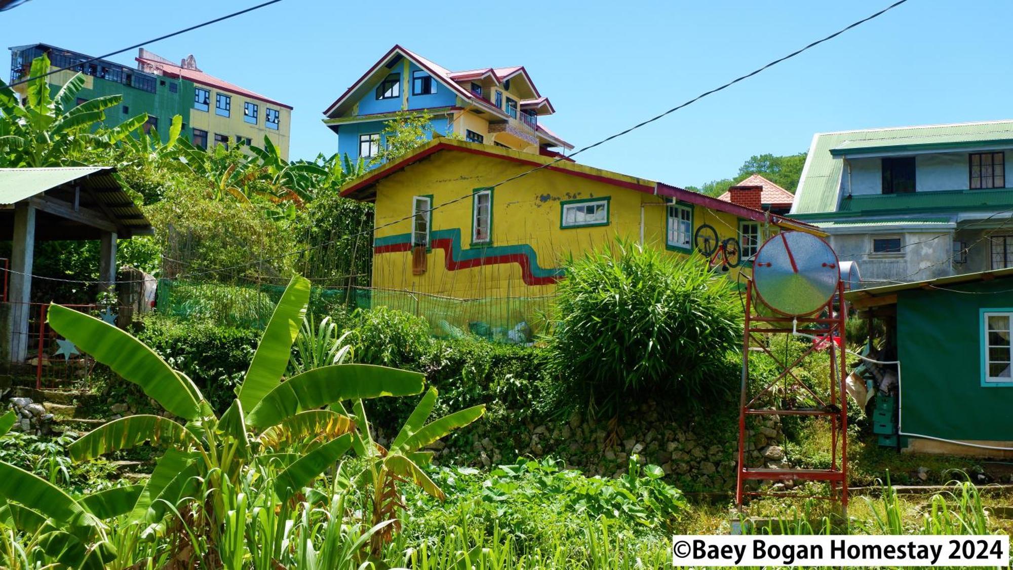 Baey Bogan Homestay サガダ エクステリア 写真