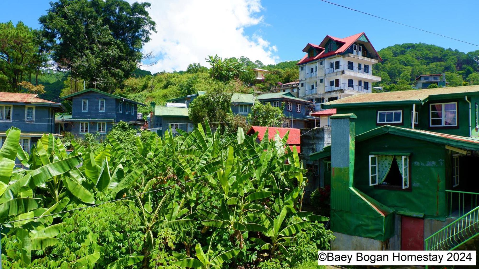 Baey Bogan Homestay サガダ エクステリア 写真