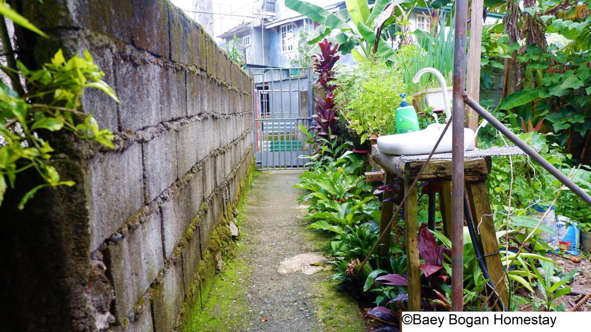 Baey Bogan Homestay サガダ エクステリア 写真