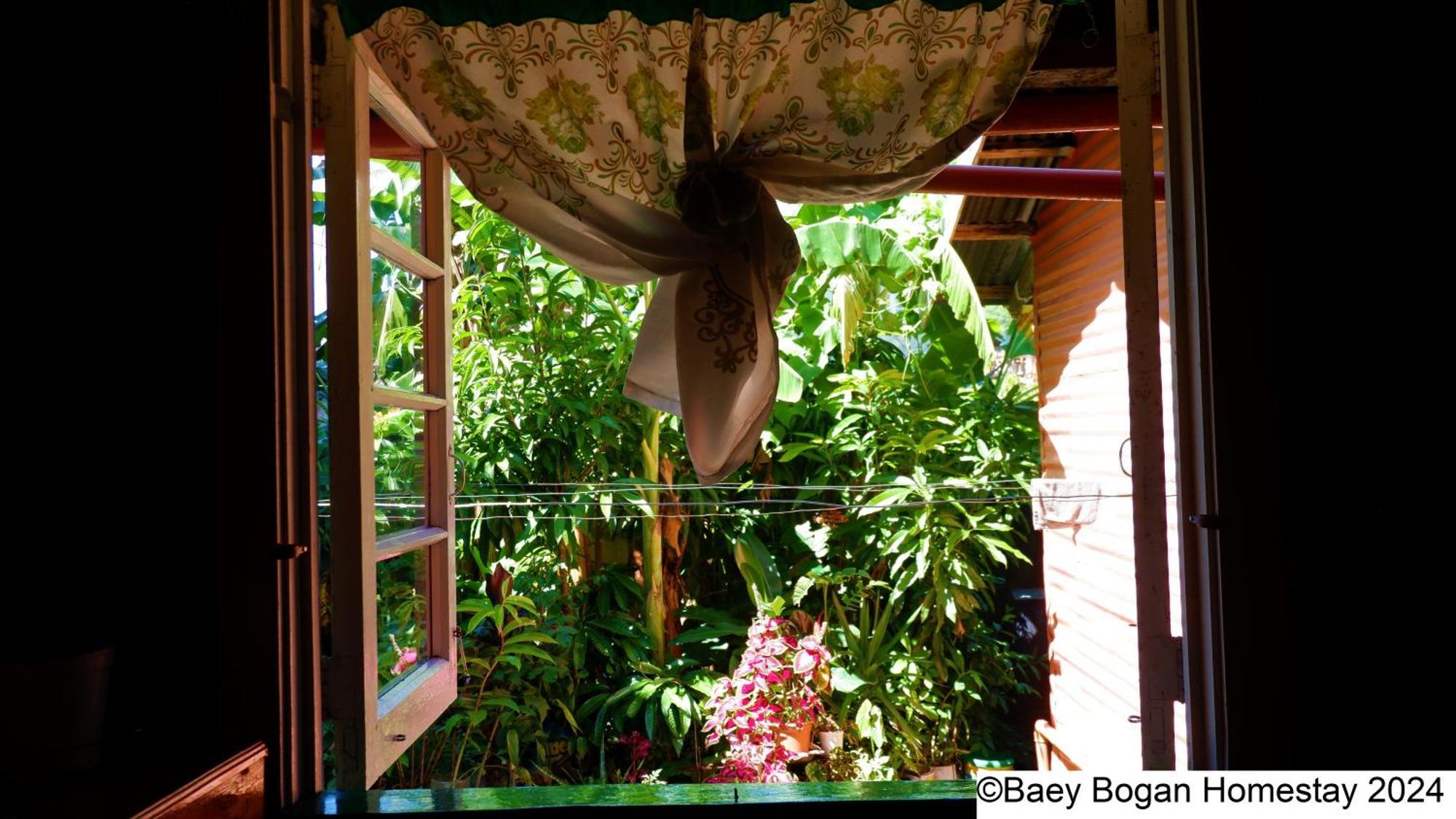 Baey Bogan Homestay サガダ エクステリア 写真